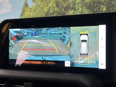 TOYOTA LAND CRUISER 250 - 5