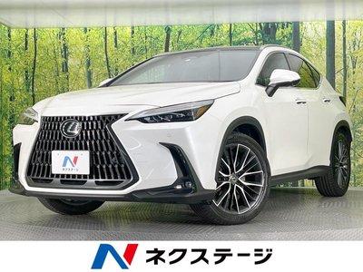LEXUS NX - 1
