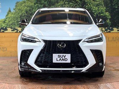 صورة مصغرة 14 لـ 2023 Lexus NX