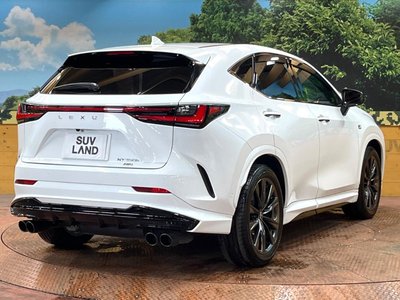 صورة مصغرة 17 لـ 2023 Lexus NX