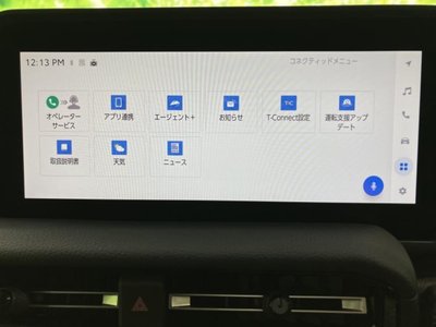 TOYOTA LAND CRUISER 250 - 9