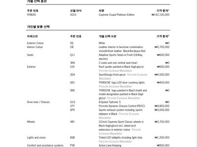 2023 Porsche CAYENNE 缩略图 20