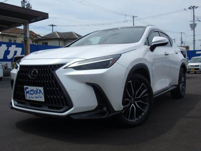 2024 Lexus NX — миниатюра 38