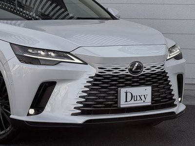 LEXUS RX - 9
