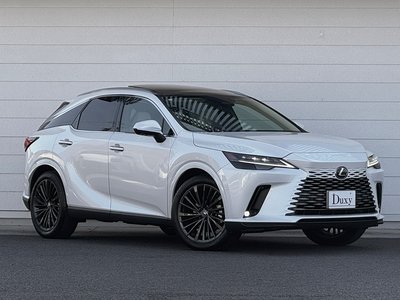 LEXUS RX - 6