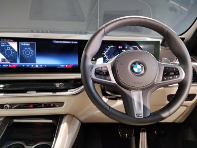 2024 BMW X6 — миниатюра 37