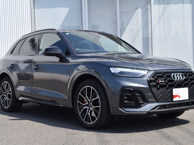 AUDI SQ5 - 6