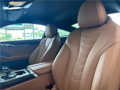 2019 BMW 8 SERIES thumbnail 23