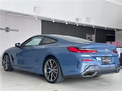 2019 BMW 8 SERIES thumbnail 16