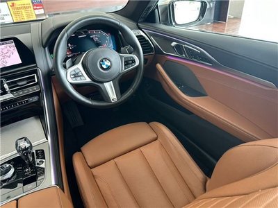 2019 BMW 8 SERIES thumbnail 31