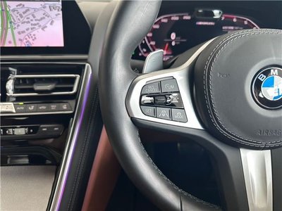 صورة 10 لـ 2019 BMW 8 SERIES