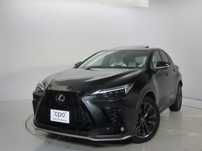 LEXUS NX - 6