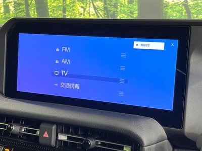 2025 Toyota LAND CRUISER 250 缩略图 39