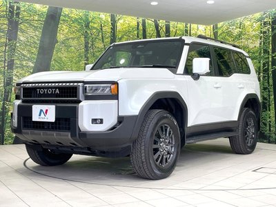 2025 Toyota LAND CRUISER 250 缩略图 29
