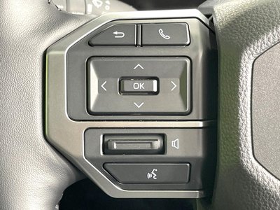 2025 Toyota LAND CRUISER 250 缩略图 50