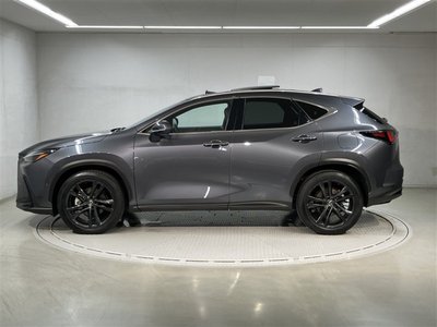 2023 Lexus NX — фото 2