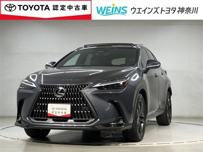 2023 Lexus NX — фото 1