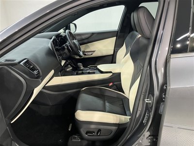 2023 Lexus NX 缩略图 19