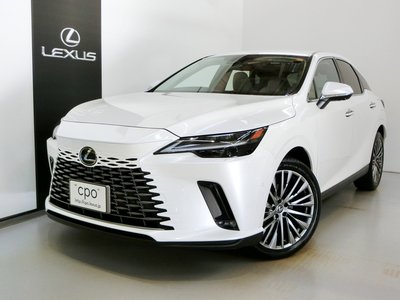 LEXUS RX - 4