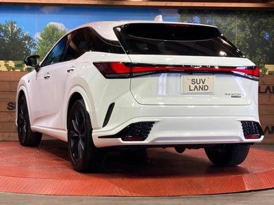 2023 Lexus RX — миниатюра 30