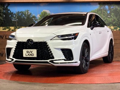 2023 Lexus RX — миниатюра 28