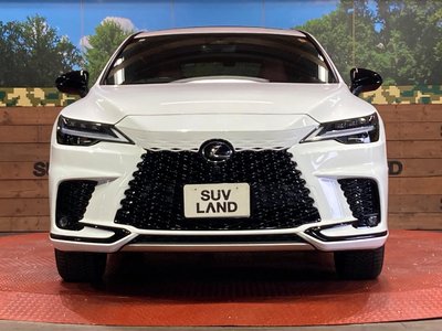 2023 Lexus RX — миниатюра 14