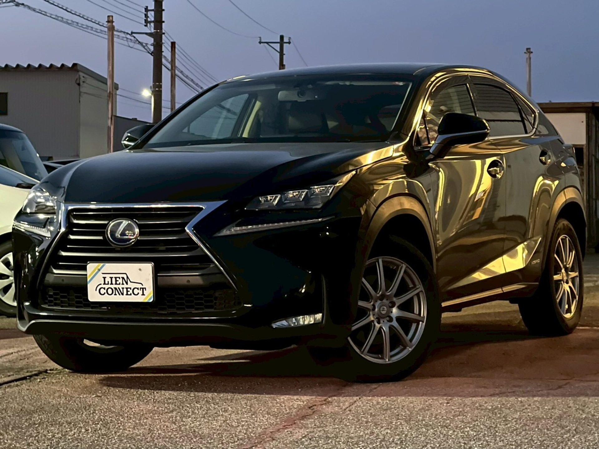 LEXUS NX - View 1