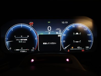 TOYOTA LAND CRUISER 250 - 7