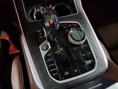 2021 BMW X7 照片 5