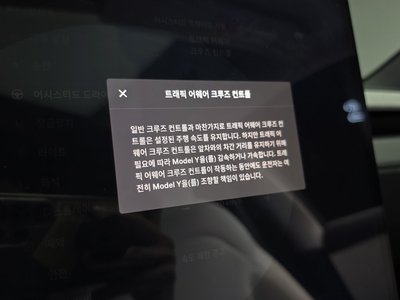 2025 Tesla MODEL Y thumbnail 22