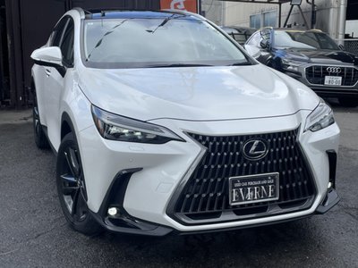 LEXUS NX - 8