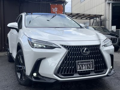 LEXUS NX - 7