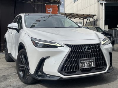 LEXUS NX - 9
