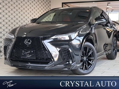 LEXUS NX - 1