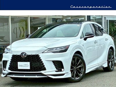 2025 Lexus RX 照片 1