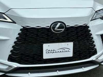 صورة مصغرة 12 لـ 2025 Lexus RX