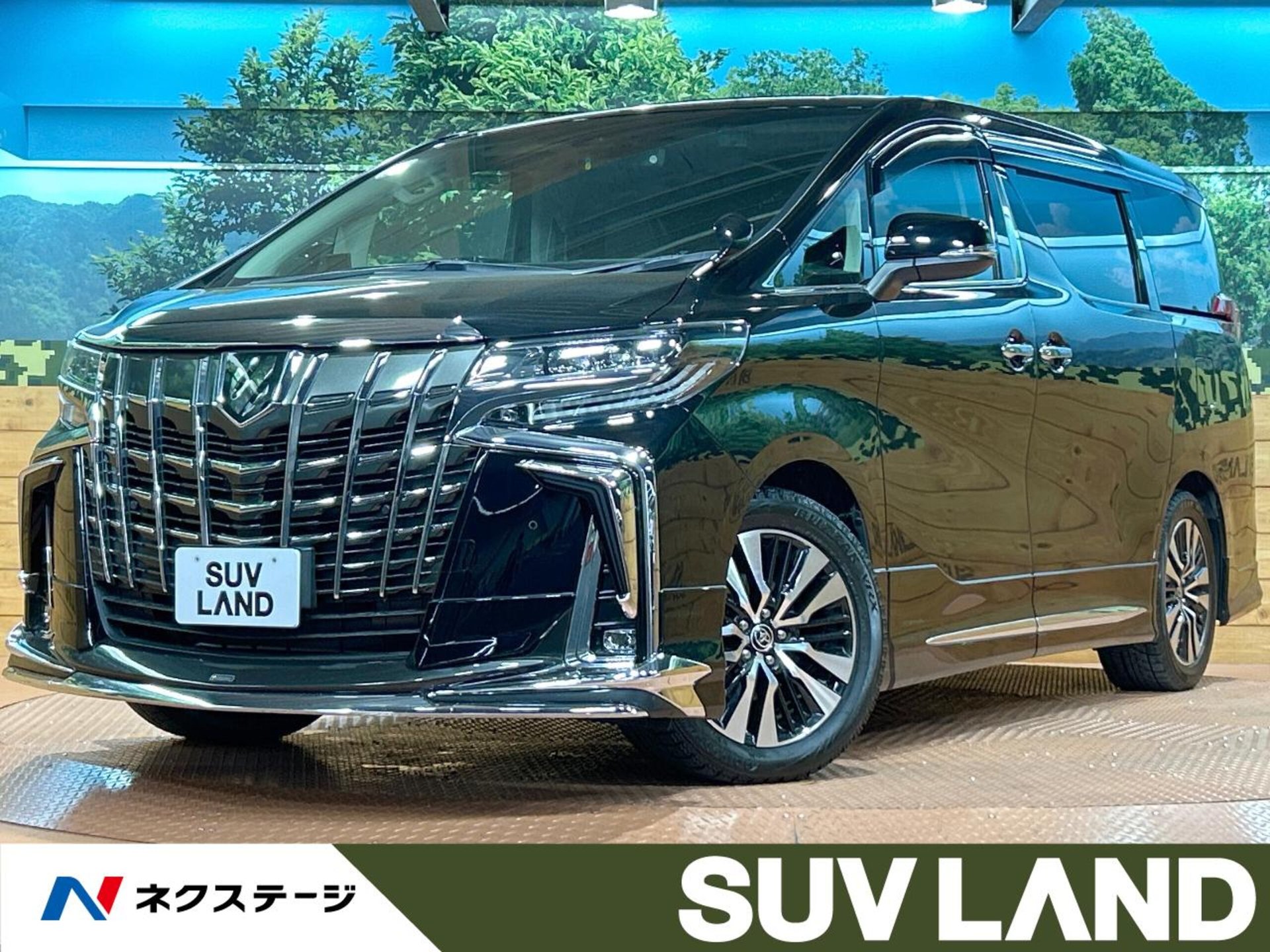 TOYOTA ALPHARD - View 1