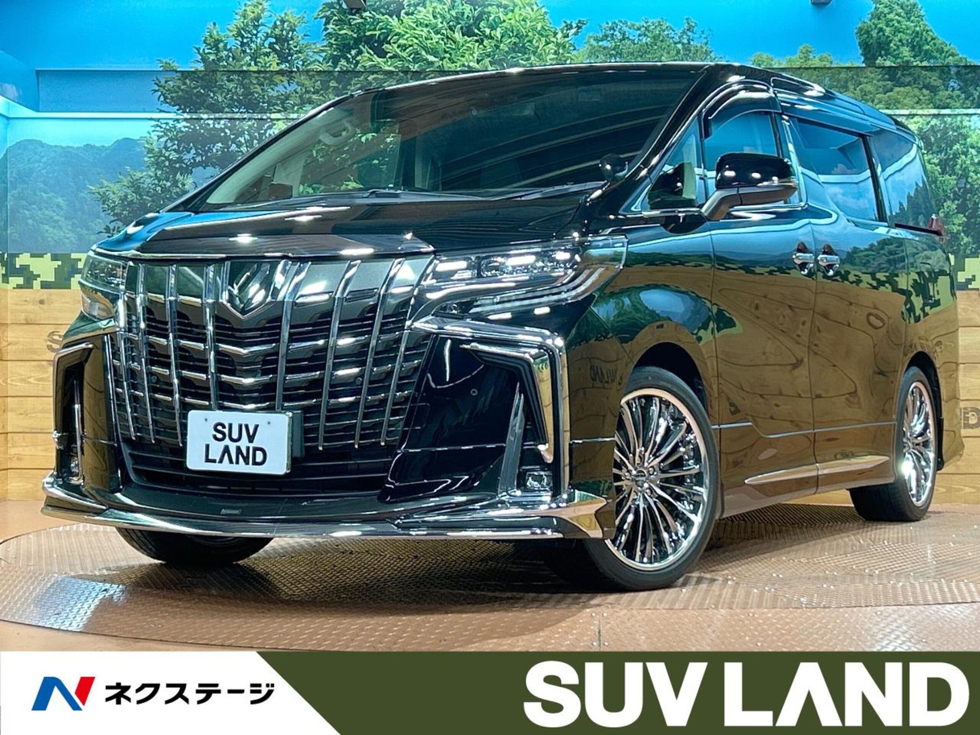TOYOTA ALPHARD - View 1
