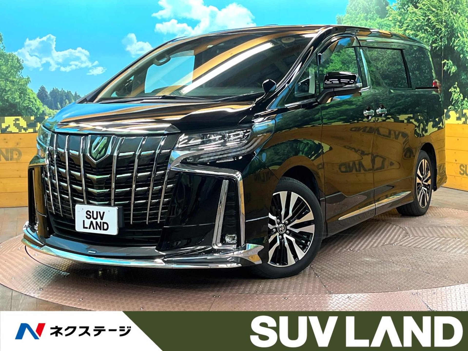TOYOTA ALPHARD - View 1