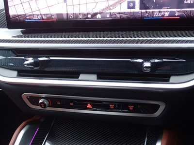 2025 BMW X6 缩略图 51