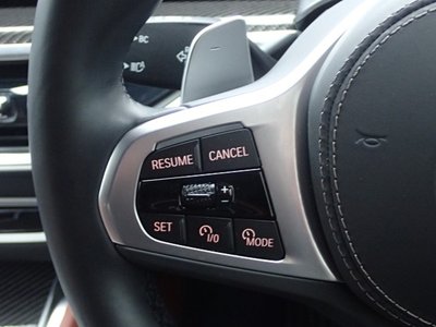 2025 BMW X6 缩略图 37