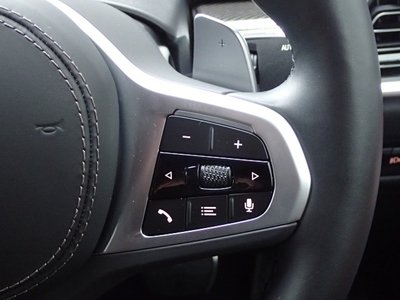 2025 BMW X6 缩略图 38
