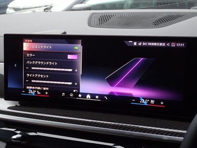 2025 BMW X6 缩略图 48