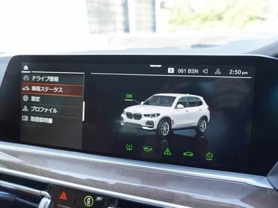2022 BMW X5 — миниатюра 22