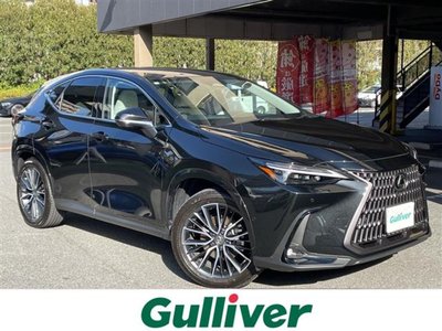 LEXUS NX - 1