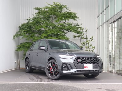 AUDI SQ5 - 1