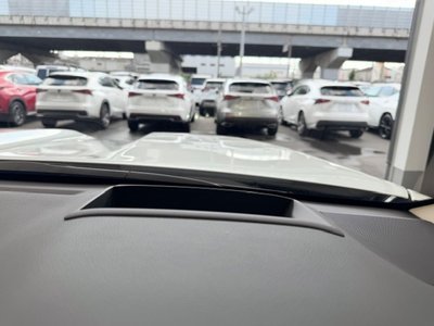 2025 Toyota LAND CRUISER 300 — миниатюра 32