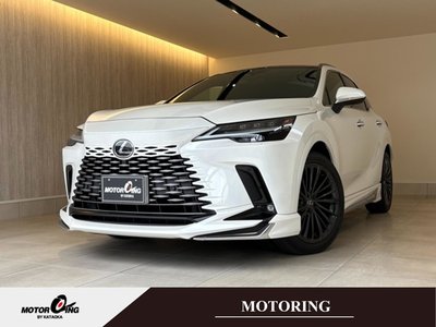 LEXUS RX - 1