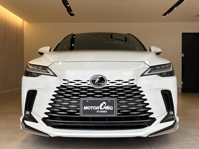 LEXUS RX - 10