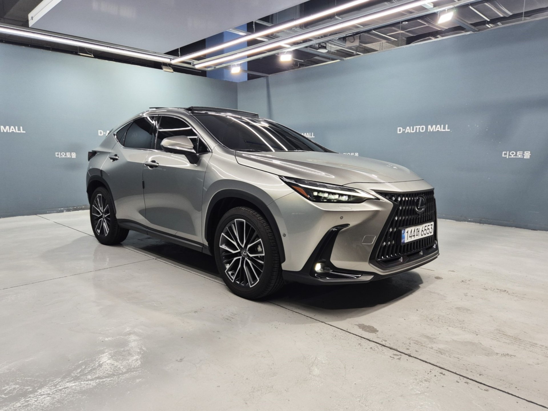 LEXUS NX - View 1